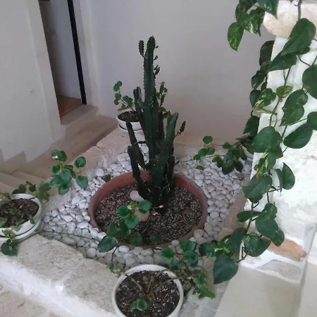 Bed and Breakfast Arcobello